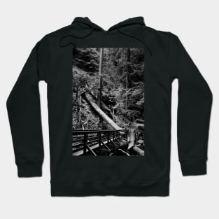 Muir Woods in Black and White. 2012 Hoodie